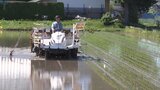 本格的な田植えのシーズンが到来 岩手県南部の奥州市でも農家が作業始める|TBS NEWS DIG