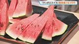 2玉3万円　サッポロスイカ初競り　10年で過去最高額　手稲区山口地区の特産　猛暑少なく出来栄え良好　|　北海道のニュース｜HBC北海道放送