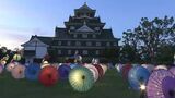 「幻想的な雰囲気」後楽園と岡山城を光で彩る「幻想庭園」と「烏城灯源郷」開幕|TBS NEWS DIG