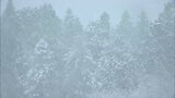 強い寒気が流れ込み14日朝の岡山県北は雪景色 真庭市や新見市では氷点下の厳しい冷え込みに【岡山】|TBS NEWS DIG