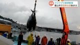 クロマグロ資源管理めぐる国際会議 新たな資源管理方法を議論する見通し 富山 | 富山のニュース|天気・防災|チューリップテレビ