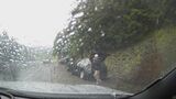 雨で濡れた道路を走行中の自動車がスリップして横転　米・オレゴン州が映像公開|TBS NEWS DIG