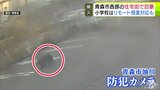 【防犯カメラ記録】住宅街でクマ目撃　4日間で8件以上　小学校はリモート授業の導入も　青森県青森市|TBS NEWS DIG