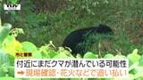 近くに潜んでいる可能性も…市街地や学校の近くでクマの目撃相次ぐ 下校の時間に合わせて広報車で見回りも(山形)|TBS NEWS DIG
