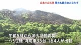 広島・福山市の山火事 鎮火のめど立たず 少なくとも15ヘクタールが焼損|TBS NEWS DIG
