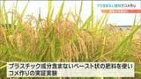 コメの肥料から“プラゴミ”が出ていた?海洋プラに配慮した新たな農業とは|TBS NEWS DIG