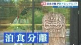 黒川温泉 全国屈指の人気温泉街 人手不足解消に向けた新たな取り組み「泊食分離」 熊本|TBS NEWS DIG