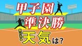 【甲子園あす準決勝】天気の急変注意<神村学園 vs関東第一><京都国際vs青森山田>試合の天気は…21日(水)メッシュ天気予報 | 鹿児島のニュース|MBC NEWS|南日本放送