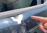 ハンターが“猟銃誤射“で駐車中の車両のドアを損傷 黒部市鳥獣被害対策実施隊としてイノシシを捕殺しようとした際 富山 | 富山のニュース|天気・防災|チューリップテレビ