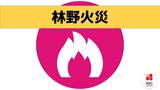長崎県対馬で空き地の一角が燃える火事　けが人なし|TBS NEWS DIG