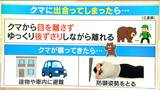 ウサイン・ボルトよりも速い「クマ」 出合わないための対策は？ もしも襲ってきたら“防御姿勢”を　|　名古屋・愛知・岐阜・三重のニュース【CBC news】 | CBC web