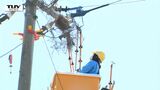 察知したカラスが接近!停電の原因となる巣の撤去に密着…地上10メートルの仁義なき戦い「電力会社VSカラス」(山形) | 山形のニュース│TUYテレビユー山形