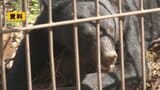 酒田市の小学校近くでクマ目撃 通学時間に警察が巡回し警戒続く(山形)|TBS NEWS DIG