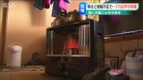 大雪の停電 寒さ厳しく「鍋に布巻き、湯たんぽが頼り」オール電化の自宅から一時的に避難も 新潟県 | 新潟のニュース・天気|BSN NEWS|BSN新潟放送