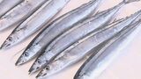 サンマの資源管理を話し合う国際会議で、漁獲枠を10％削減する方向で議論　専門家からは実効性に疑問の声も|TBS NEWS DIG