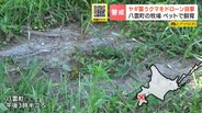 【クマ出没】牧場で飼育のヤギを襲撃「クマが連れ去ったのでは」通報でドローン出動…約100m引きずり川近くで捕食するクマを発見 北海道・八雲町 | 北海道のニュース|HBC北海道放送
