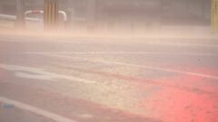 ヤマト運輸は福岡・佐賀・大分の一部で集荷や配達見合わせ　九州北部での大雨は郵便や物流にも影響| TBS CROSS DIG with Bloomberg