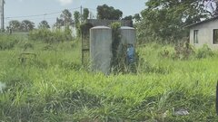 フィリピンで邦人女性と母親を殺害容疑　女性の伯母らを逮捕| TBS CROSS DIG with Bloomberg