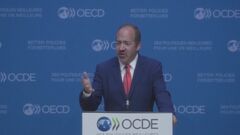 世界の経済成長予測3.2％　日本はマイナス成長　OECD| TBS CROSS DIG with Bloomberg