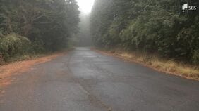 「山に置き去りにされた少年を保護している」8歳の男の子を山に置き去りにしたか…母親と交際相手を逮捕=静岡県警|TBS NEWS DIG