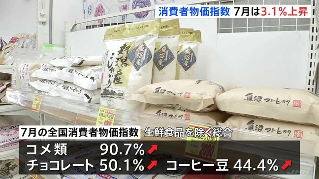 7月の全国消費者物価指数3.1%上昇 8か月連続の3%台の高い伸び率 コメなどの食料品が大幅に上昇|TBS NEWS DIG