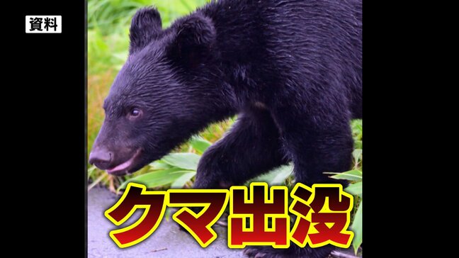 「クマを見た」中学校隣接の裏山で目撃情報　体重40キロ～50キロぐらい　市、学校が注意呼びかけ＝静岡市清水区|TBS NEWS DIG