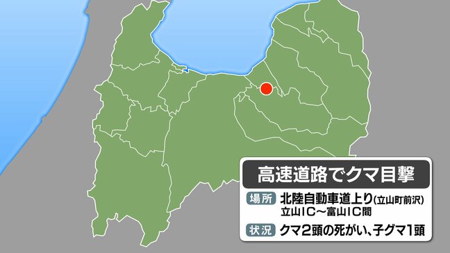 高速道路でクマ2頭の死骸、近くで子グマ1頭見つかる　北陸道は立山IC－富山IC上下線　一時通行止め　富山|TBS NEWS DIG