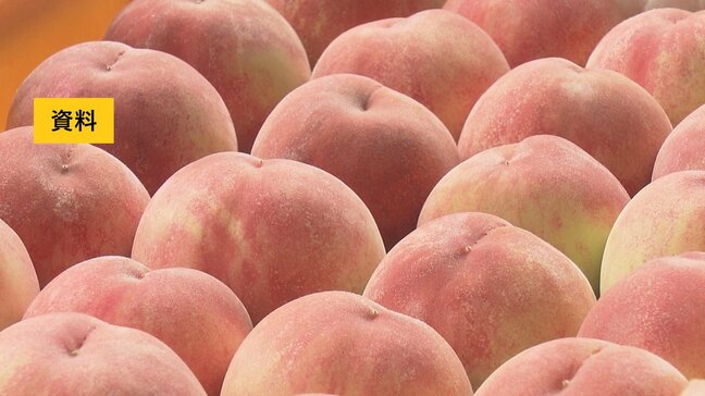 車庫にあった置いてあったモモがクマ被害に　福島・桑折町|TBS NEWS DIG