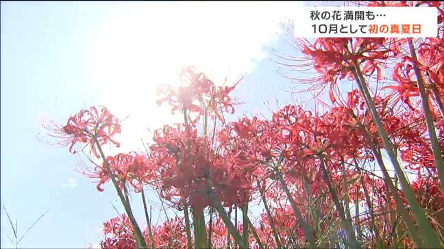 仙台で「最高気温30.3度」10月として『観測史上初の真夏日』あす3日は一転「10度前後」も低くなる見込み tbc気象台|TBS NEWS DIG