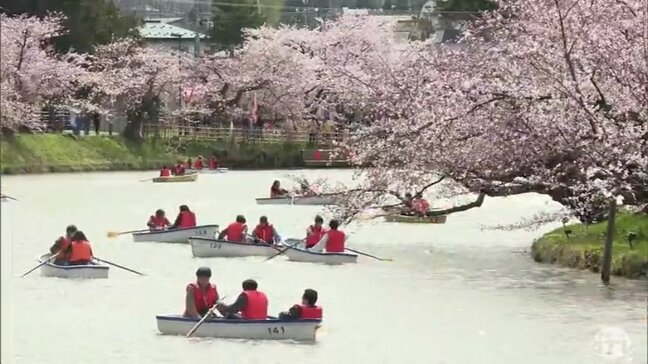 国内有数の桜の名所「弘前公園」初の週末は花見客でぎわう|TBS NEWS DIG