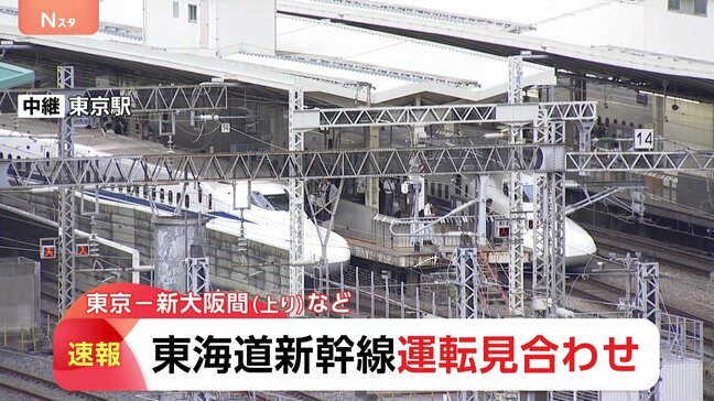 【速報】東海道新幹線　三島～新富士間で沿線火災　下り東京～静岡、上り新大阪～東京で運転見合わせ　再開めどわからず|TBS NEWS DIG
