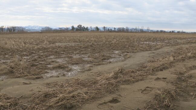 名物「内灘餅」地震で消滅の危機!? 石川・内灘町の液状化被害は田畑にも 正念場迎える農家は…|TBS NEWS DIG
