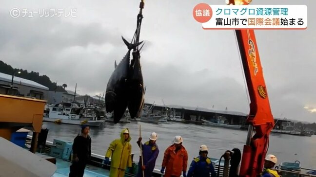 クロマグロ資源管理めぐる国際会議　新たな資源管理方法を議論する見通し　富山|TBS NEWS DIG