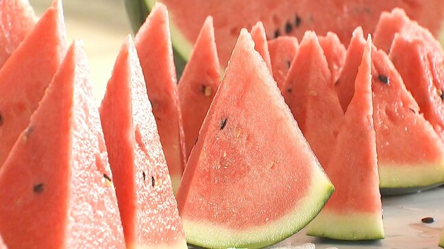 ハウススイカの出荷始まる 高い糖度とシャリシャリ食感が特徴 大分・日田市|TBS NEWS DIG