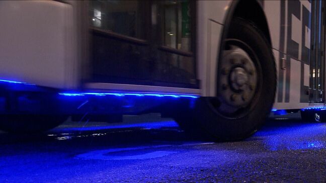 「レインボーバスライン」6色のLEDライトが取り付けられた路線バス約60台が街中を通常ダイヤで運行中【岡山芸術交流2025】|TBS NEWS DIG