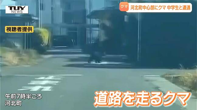 【動画】河北町の中心部にクマ　中学生が追いかけられるもケガなし　付近の小学校では保護者の送迎対応（山形・河北町）|TBS NEWS DIG