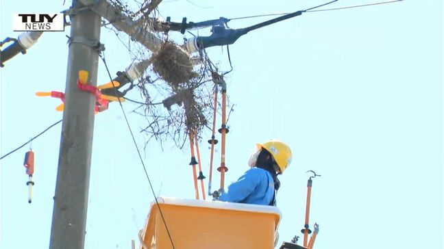 察知したカラスが接近！停電の原因となる巣の撤去に密着…地上10メートルの仁義なき戦い「電力会社VSカラス」（山形）|TBS NEWS DIG
