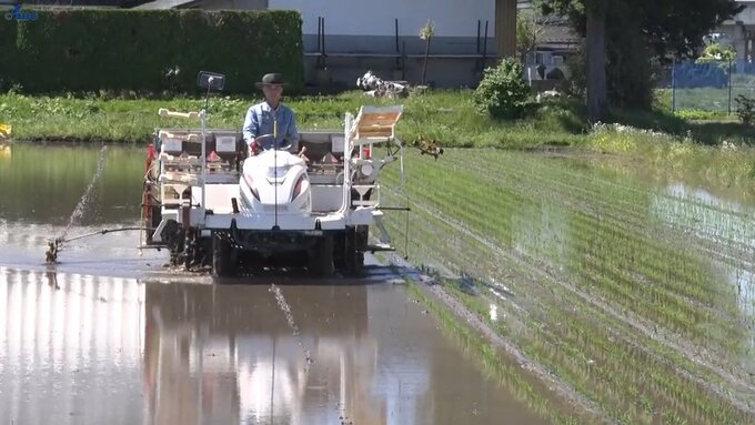 本格的な田植えのシーズンが到来　岩手県南部の奥州市でも農家が作業始める|TBS NEWS DIG