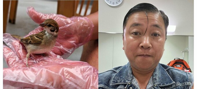 スギちゃん　「倒れてた」スズメを救出　「無事羽ばたいていったぜぇ」|TBS NEWS DIG
