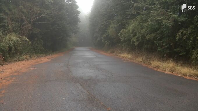 「山に置き去りにされた少年を保護している」8歳の男の子を山に置き去りにしたか…母親と交際相手を逮捕＝静岡県警　|　静岡のニュース | SBSNEWS | 静岡放送