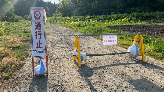 【速報】畑に向かった85歳男性　沢で頭や体に傷の遺体見つかる　クマに襲われたか　岩手・西和賀町|TBS NEWS DIG
