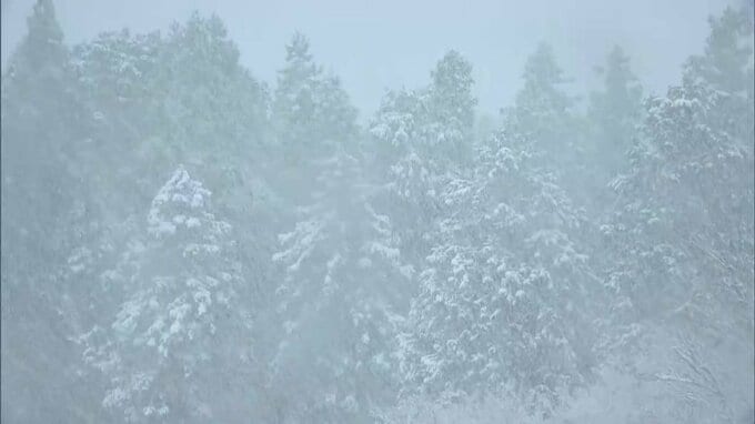 強い寒気が流れ込み14日朝の岡山県北は雪景色　真庭市や新見市では氷点下の厳しい冷え込みに【岡山】|TBS NEWS DIG