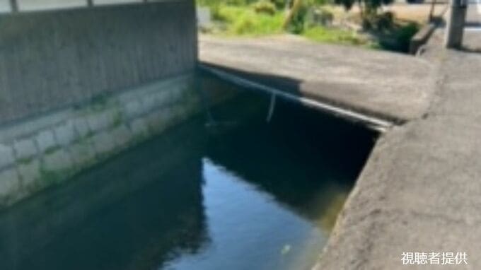 用水路でおぼれている生き物を助けたら、なんとクマ！体長約30cmの「一見黒い犬」住宅街に放したがその後は…【岡山・倉敷市】　|　岡山・香川のニュース | 天気 | RSK山陽放送