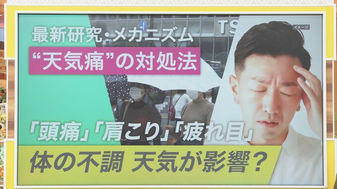 頭痛・肩こり・疲れ目…実は“天気痛”？セルフチェックとすぐできる対処法を天気痛外来の医師に聞く【ひるおび】|TBS NEWS DIG