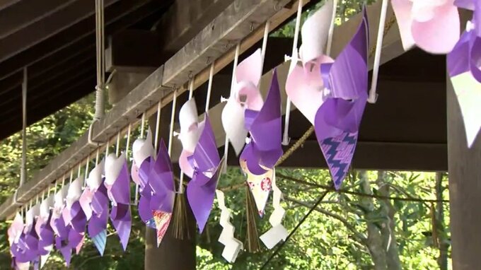 境内に250の色とりどりの風車 願いは稲作への風よけ さわやかに回る秋の風物詩 富山・髙瀬神社|TBS NEWS DIG