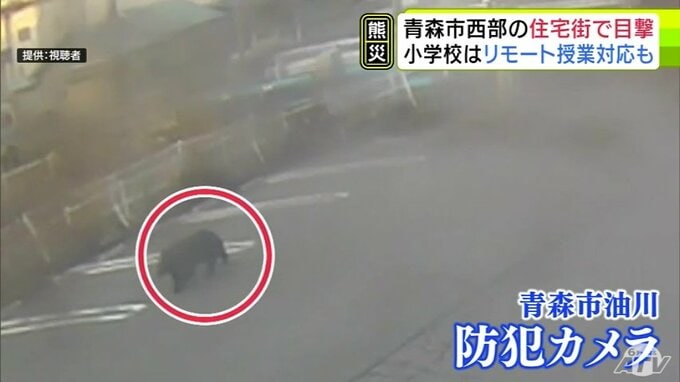 【防犯カメラ記録】住宅街でクマ目撃　4日間で8件以上　小学校はリモート授業の導入も　青森県青森市|TBS NEWS DIG