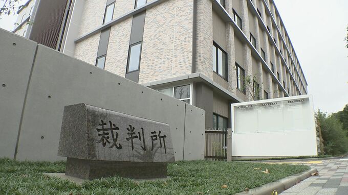 海賊版サイトで著作権侵害をほう助…米国IT企業に約5億円の賠償命じる判決 東京地裁 「ONEPIECE」など無断掲載で出版4社が提訴|TBS NEWS DIG