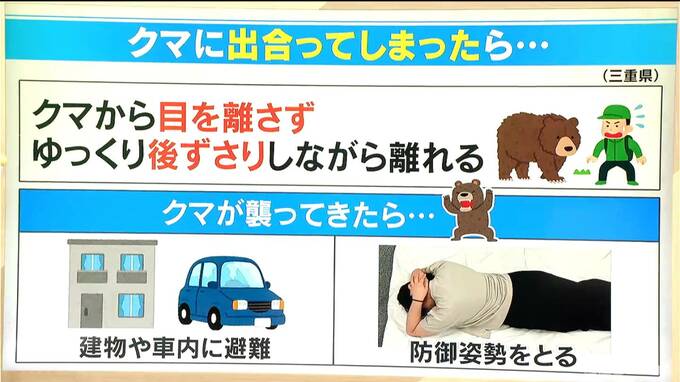 ウサイン・ボルトよりも速い「クマ」 出合わないための対策は？ もしも襲ってきたら“防御姿勢”を|TBS NEWS DIG