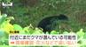 近くに潜んでいる可能性も…市街地や学校の近くでクマの目撃相次ぐ　下校の時間に合わせて広報車で見回りも（山形）　|　山形のニュース│TUYテレビユー山形