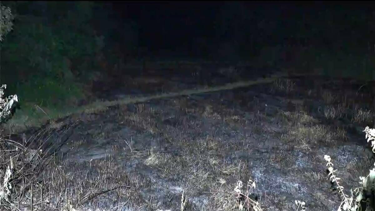 畑で高齢男性が死亡　全身が焼けた状態　火災に巻き込まれたか　鹿児島市